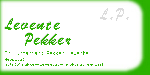 levente pekker business card